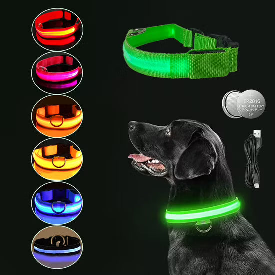 LumiPet - Collar Luminoso Recargable