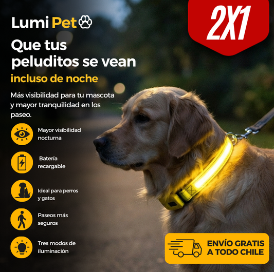 LumiPet - Collar Luminoso Recargable